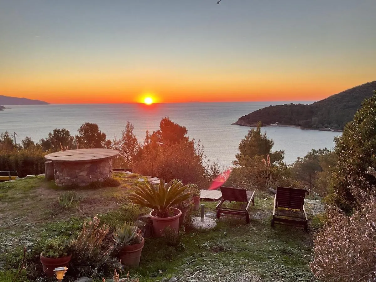 La Collina Sul Mare Bed & Breakfast Marina di Campo 3*,